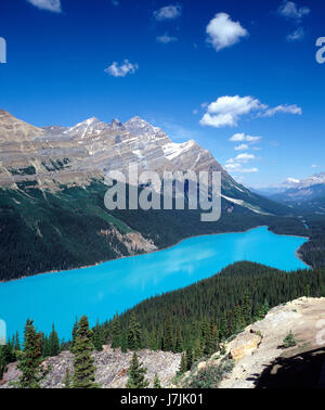 Le lac Peyto glacier avec de l'eau. Pn Banff, Alberta, Canada Banque D'Images