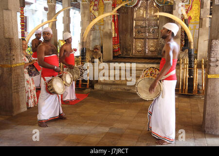 Kandy au Sri Lanka Temple de la dent les hommes de tambour avant et pendant la cérémonie de Puja Pleine Lune Navam Poya Day Banque D'Images