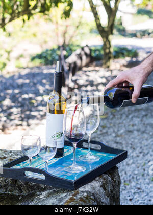 VALE do Douro, PORTUGAL - 05 avril 2017 : dégustation de vin dans l'un des vignobles dans la région de Vale do Douro. Banque D'Images