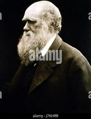 Cette photographie, prise par Julia Margaret Cameron, représente Charles Darwin, naturaliste britannique de renom, connu pour sa théorie de l'évolution par sélection naturelle. Le portrait illustre la présence intellectuelle de Darwin au milieu du XIXe siècle. Banque D'Images
