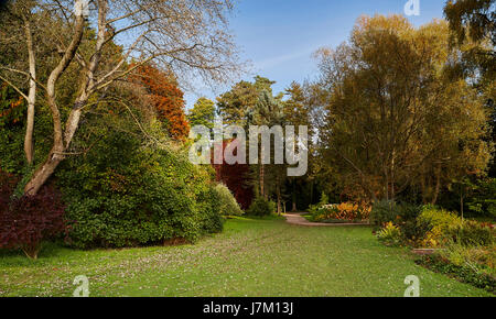 Images de Thorpe Perrow arboretum parc et arbres. Banque D'Images
