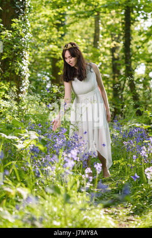 Jeune femme marchant à travers bluebell flowers dans un bois britannique Banque D'Images