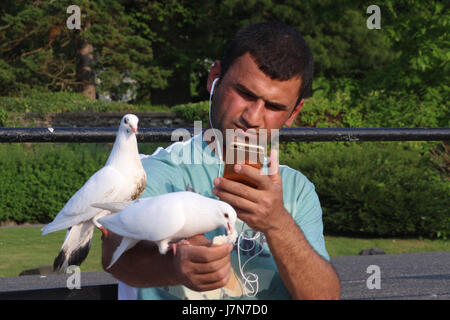 Bowness on Windermere, Cumbria, Royaume-Uni. 25 mai 2017. Météo britannique. Les visiteurs de la Lake District nourrir les oiseaux sur la Promenade Bowness Bay tout en profitant du soleil du soir à la fin de la journée la plus chaude de l'année Crédit : David Billinge/Alamy Live News Banque D'Images