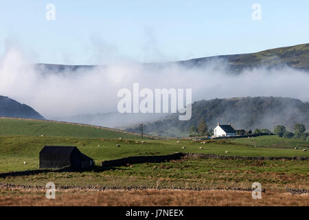 Forest-en-Teesdale, comté de Durham au Royaume-Uni. Vendredi 26 mai 2017. Météo britannique. Un autre jour ensoleillé chaud en perspective dans le nord-est de l'Angleterre comme brume commence à se diviser autour des fermes de la région de Teesdale dans le North Pennines. © David Forster/Alamy Live News. Banque D'Images