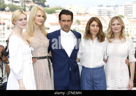 Cannes, Frankreich. 24 mai, 2017. Elle Fanning, Nicole Kidman, Colin Farrell, Sofia Coppola et Kirsten Dunst au 'la séduisit/Die Verführten' photocall au cours de la 70e édition du Festival de Cannes au Palais des Festivals le 24 mai 2017 à Cannes, France | Verwendung weltweit/alliance photo Credit : dpa/Alamy Live News Banque D'Images