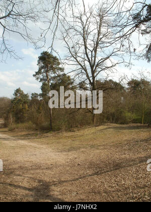 La réserve naturelle de Hirschacker, désignée le 3 avril 2012, est une zone protégée en Allemagne, connue pour sa riche biodiversité et ses paysages naturels. Banque D'Images