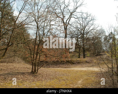 Ce titre fait probablement référence à une zone naturelle protégée spécifique ou à une réserve naturelle, Hirschacker, mise en évidence en 2012. Ces zones sont dédiées à la conservation de la faune et des espèces végétales. Banque D'Images