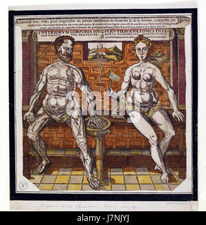 La feuille anatomique 02a se réfère à un diagramme médical ou éducatif, peut-être tiré d'un manuel anatomique historique ou de matériel éducatif. Il fournit des illustrations détaillées de l'anatomie humaine, utilisées dans l'étude de la médecine et de la biologie, offrant un aperçu de la structure et de la fonction du corps humain. Banque D'Images