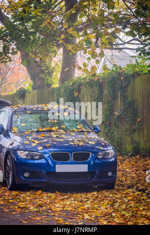 Voiture bleue capot Capot couvert de feuilles tombées en automne Banque D'Images