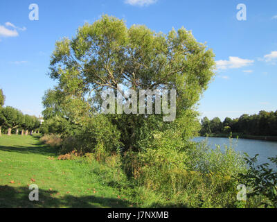 Ce titre fait probablement référence à un événement, un lieu ou une image capturée dans la Sarre, en Allemagne, près de Silberweide. La date de l'enregistrement est le 14 septembre 2012, marquant un moment précis ou un événement historique. Banque D'Images