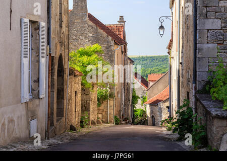 France, Bourgogne, Côte d'Or, Flavigny-sur-Ozerain, les plus Beaux villages de France (les plus beaux villages de France), dans le village Banque D'Images