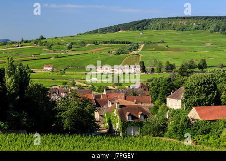 France, Côte d'Or, Bourgogne, Monthalie, le village et le vignoble Banque D'Images