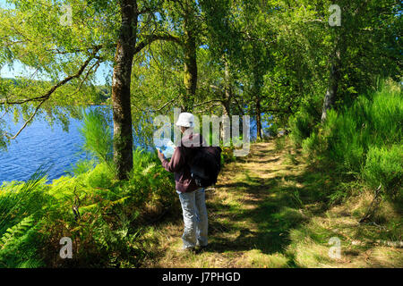 France, Creuse, Lac de Vassivière, Beaumont du Lac, Ile de Vassivière, chemin autour de l'île Banque D'Images