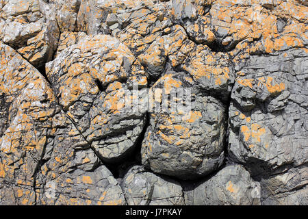 De laves basaltiques sur l'île Llanddwyn, Anglesey Banque D'Images