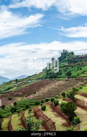 Cadre naturel magnifique dans mon Cham (Mon Jam) mountain, Mae Rim, célèbre lieu de voyage à Chiangmai, Thaïlande. Banque D'Images