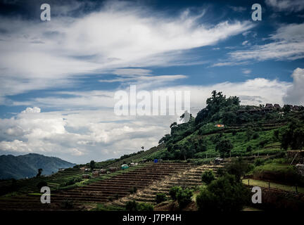 Cadre naturel magnifique dans mon Cham (Mon Jam) mountain, Mae Rim, célèbre lieu de voyage à Chiangmai, Thaïlande. Banque D'Images