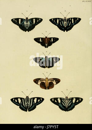 Cette image ou référence est tirée de « Uitlandsche Kapellen » de Cramer et Stoll, une collection d'illustrations représentant des églises ou des chapelles étrangères du monde entier, dans le volume 3, planche 245. Banque D'Images