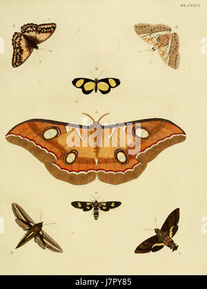 Cette référence se rapporte à une plaque de 'Uitlandsche Kapellen', une œuvre de Cramer et Stoll, avec une illustration de chapelles étrangères. La pièce présente des conceptions architecturales d'églises de différentes cultures. Banque D'Images