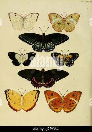 Cette illustration tirée de 'Cramer and Stoll Uitlandsche Kapellen' volume 4, planche 361, présente une représentation détaillée de chapelles étrangères. L'œuvre met en valeur des conceptions architecturales complexes et des influences culturelles de diverses régions, reflétant la propagation mondiale des structures religieuses. Banque D'Images