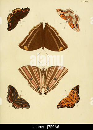 Le volume 1, planche 069 de l'Uitlandsche Kapellen de Cramer & Stoll présente une illustration détaillée de chapelles étrangères. Ce travail se concentre sur les conceptions architecturales et les styles de chapelles de différentes régions. Banque D'Images