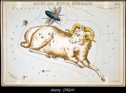 Le Bélier et Musca Borealis sont des constellations situées dans le ciel, représentant un bélier et une mouche du nord, qui font partie des études célestes en astronomie. Banque D'Images