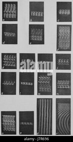 Les cycles climatiques et la croissance des arbres Planche 12 Banque D'Images