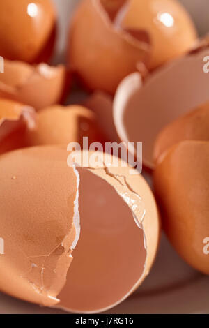 Broken egg shells Banque D'Images