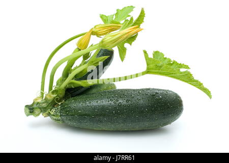 Matières premières végétales toute plante verte pelouse citrouille courgette courgette aliment alimentaire Banque D'Images