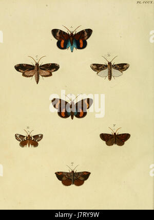 Le volume 4 de « Uitlandsche Kapellen » de Cramer et Stoll, planche 310, fait partie d’une série documentant des chapelles étrangères. Il fournit une étude visuelle des conceptions architecturales et de l'art religieux de diverses cultures, mettant en valeur leur influence mondiale. Banque D'Images