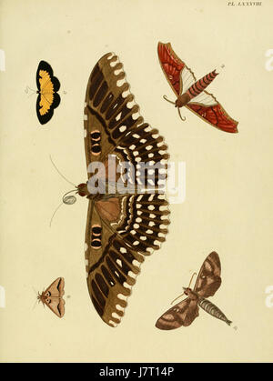 L'assiette de la 'Uitlandsche Kapellen' Vol. 1 de Cramer & Stoll présente des représentations détaillées de chapelles étrangères, mettant en valeur les styles architecturaux et la diversité culturelle. Banque D'Images