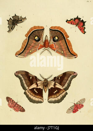 Cette assiette de 'Uitlandsche Kapellen' de Cramer & Stoll présente une représentation complexe de chapelles étrangères. Le volume met en lumière les conceptions architecturales de bâtiments religieux de différentes cultures, reflétant leurs caractéristiques et influences uniques. Banque D'Images