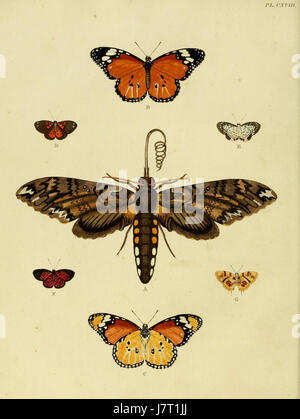 Les « Uitlandsche Kapellen » (chapelles étrangères) de Cramer & Stoll sont une représentation détaillée de conceptions architecturales de diverses régions, mettant en valeur la diversité culturelle et l'architecture historique du XVIIIe siècle. Banque D'Images