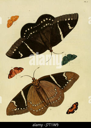 Cette assiette de « Uitlandsche Kapellen » de Cramer & Stoll présente des chapelles étrangères, réfléchissant sur des espaces architecturaux et religieux de différentes cultures et régions. Banque D'Images