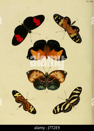 Cette image provient de 'Uitlandsche Kapellen' de Cramer et Stoll, volume 2, planche 191, représentant une chapelle étrangère. L’œuvre présente des conceptions complexes et des détails architecturaux typiques des structures de la région représentée dans le volume. Banque D'Images