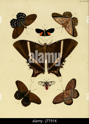 Uitlandsche Kapellen de Cramer et Stoll, volume 3, planche 198, est une illustration détaillée de la série, mettant l'accent sur les chapelles étrangères et leurs conceptions architecturales. La plaque capture le caractère unique des structures religieuses étrangères. Banque D'Images
