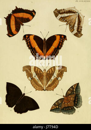 Cette plaque de 'Cramer et Stoll's Uitlandsche Kapellen' illustre une chapelle étrangère, montrant la conception architecturale et l'importance culturelle d'un lieu de culte d'une région lointaine. Banque D'Images