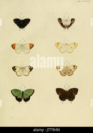 Le 4e volume de « Uitlandsche Kapellen » de Cramer et Stoll présente des illustrations détaillées de chapelles étrangères, mettant en valeur leur conception architecturale et leur importance culturelle dans divers endroits du monde. Banque D'Images