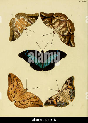 Uitlandsche Kapellen de Cramer et Stoll, volume 2, planche 158, fait partie d'une série illustrant des chapelles étrangères. Ce volume présente des œuvres d'art détaillées mettant en valeur les styles architecturaux de chapelles de l'extérieur de l'Europe. Banque D'Images