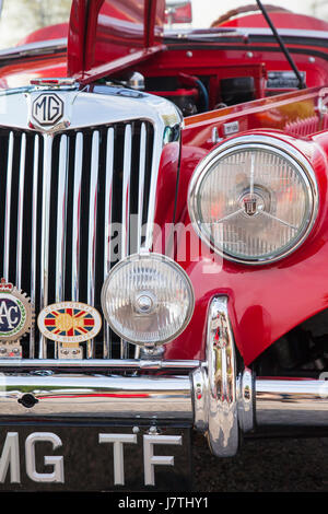 La grille avant d'une voiture de sport britannique, 1955 MG TF 1500 Roadster sur l'affichage de Franklin, Tennessee, États-Unis Banque D'Images