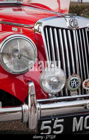 La grille avant d'une voiture de sport britannique, 1955 MG TF 1500 Roadster sur l'affichage de Franklin, Tennessee, États-Unis Banque D'Images