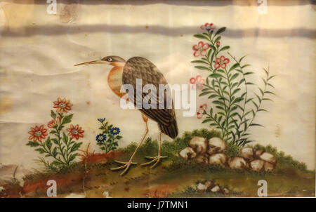 Oiseau et fleurs, Chine, sur papier Tetrapanax papyrifer Robert C. Williams DSC00391 Paper Museum Banque D'Images