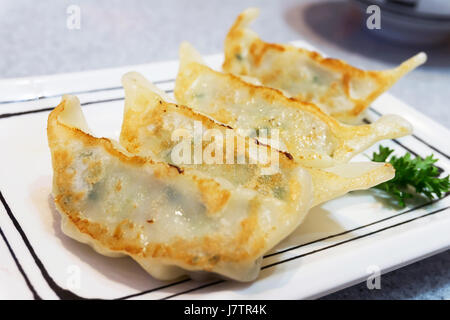 Gyoza ou raviolis frits japonais sur plaque blanche avec mise au point sélective Banque D'Images