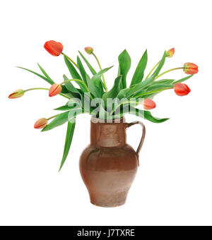 Fleur fleurs tulipes isolés de plantes bouquet de tulipes vase verseuse découpe arrangement Banque D'Images