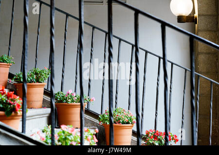 Escaliers avec des fleurs colorées Banque D'Images