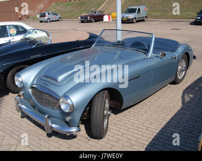 1956 Austin Healey 1006 inscription licence néerlandais, DL 3522, pic2 Banque D'Images