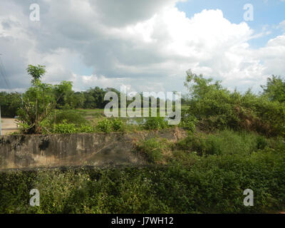Cette image montre les rizières et les prairies le long des routes de San Ildefonso et Lapnit à Bulacan, illustrant l'environnement agricole typique de cette région philippine. Banque D'Images