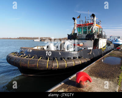 10 (1999), remorqueur de port d'Anvers pic2 Banque D'Images