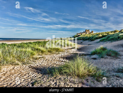 Art-Image picturale, Northumberland, Angleterre du Nord-Est Banque D'Images