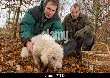 La chasse dans le Berkshire trufffle avec chef John Campbell de la vigne hotel &restaurant, truffle hunter tom lywood(vert) et son chien de chasse aux truffes Banque D'Images