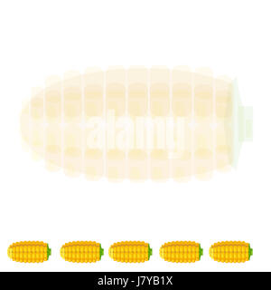 Une illustration de corns placée sur le fond avec un maïs transparent au centre sur fond blanc Banque D'Images